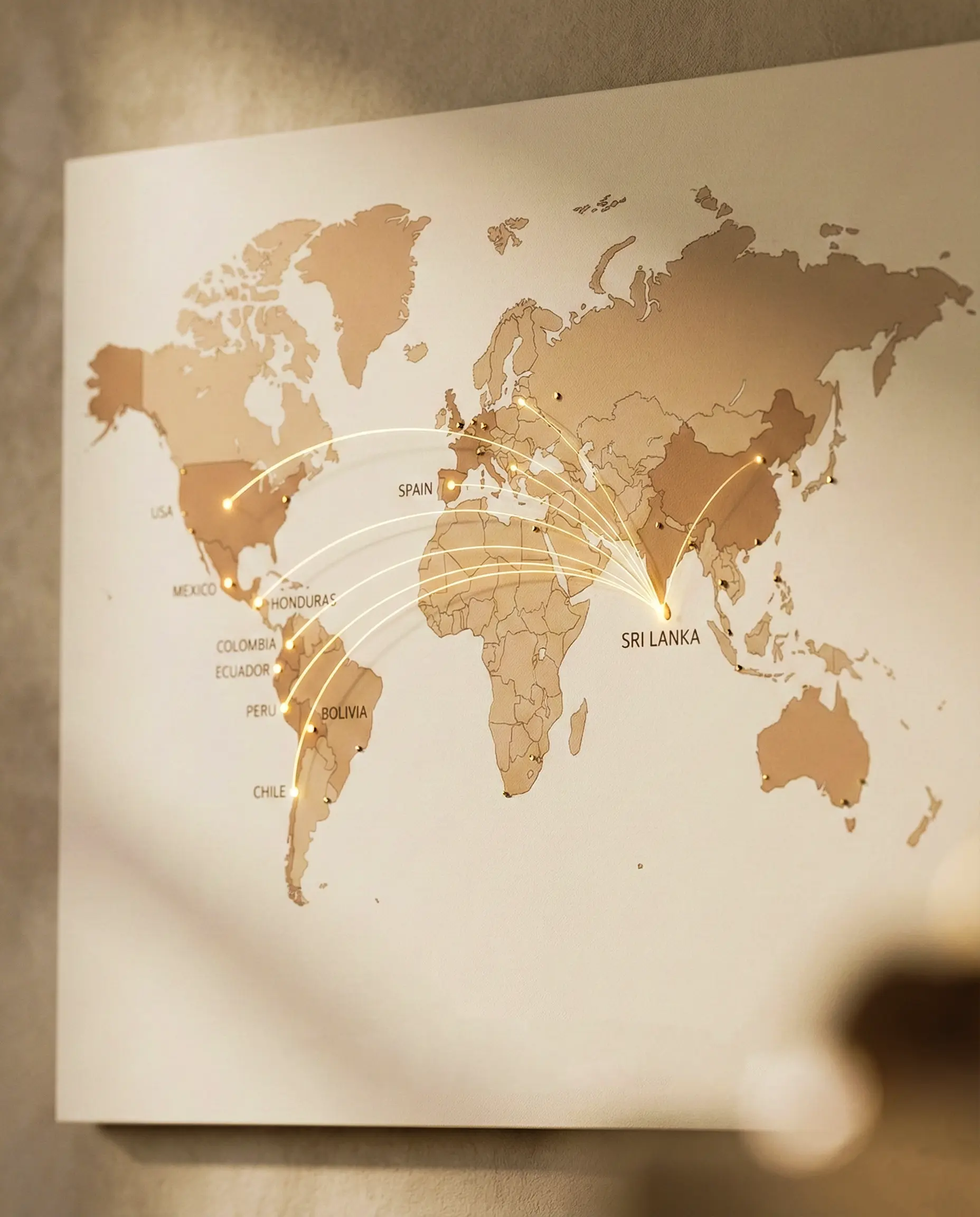Global export map visualization illustrating active shipping routes from Sri Lanka to key cinnamon markets including Mexico, Peru, USA, Chile, and Spain, demonstrating established international logistics and distribution network.