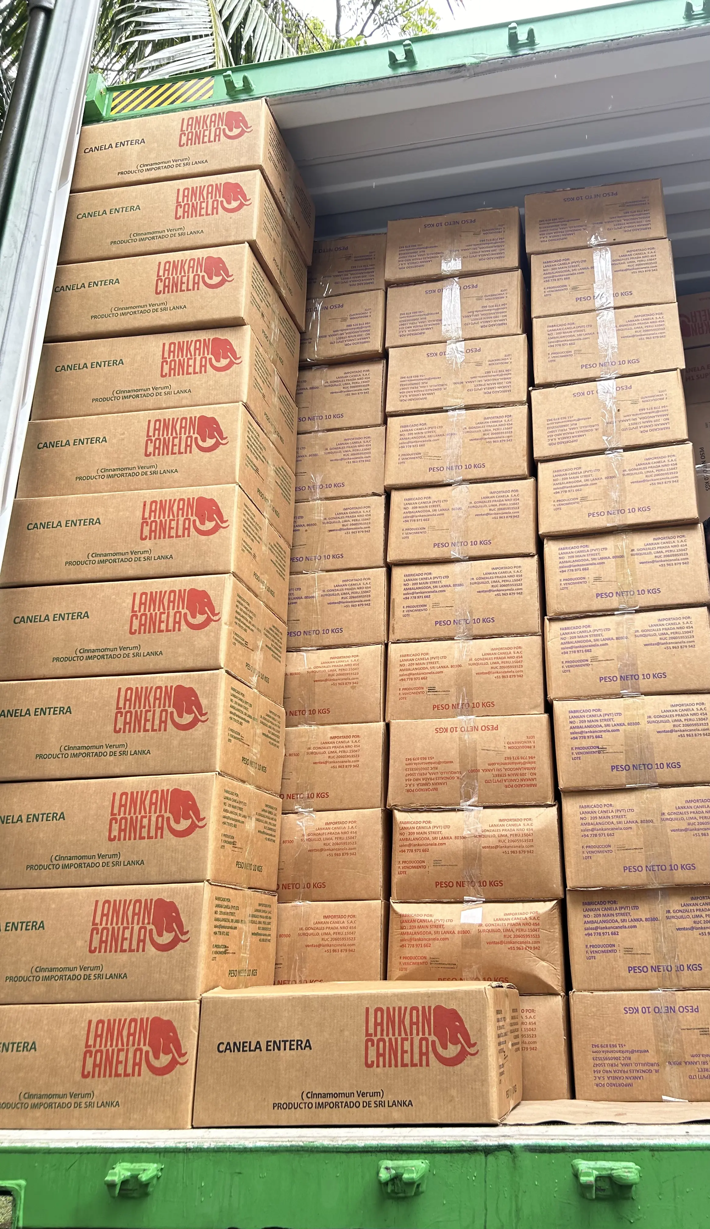 Stacks of brown cardboard boxes labeled ‘Lankan Canela’ and ‘Canela Entera (Cinnamomum verum)’ loaded inside a green shipping container, showing bulk Ceylon cinnamon export cartons from Sri Lanka.